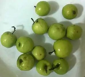 Raw fruit in Bangladesh