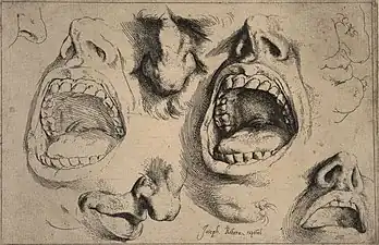 Studies of Noses and Mouths, ca. 1622, etching, 14.7 x 22.2&nbsp;cm.