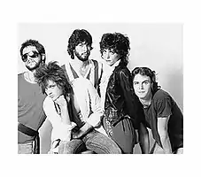 The Fabulous Knobs. Pictured left to right: Terry Anderson, David Enloe, Jack Cornell, Debra DeMilo, Keith Taylor (circa 1981)