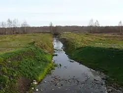 The Kamenka River in Starorussky District, a tributary of the Porusya