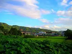 Rice fields in Katano City