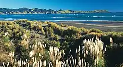 Kawhia Beach
