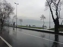 A view of the Bosporus on a rainy day. Trees are visible on the sides of the photo, while visibility is low in the far-plane.