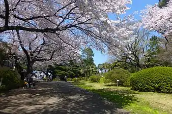 Koishikawa Botanical Gardens