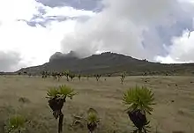 Koitobos peak, Kenya