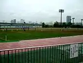 Looking at the pitch from the stands in the park