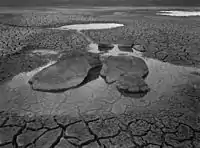 From the Landscape of Returns II series, 1980