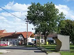 Common in Květnice