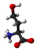 Ball-and-stick model of the zwitterion