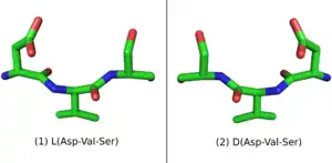 L-Peptide Asp-Val-Ser and its mirror image.