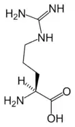 L-Arginine(Arg&nbsp;/&nbsp;R)