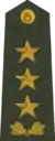 Ģenerālleitnants(Latvian Land Forces)