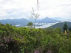 View from Lågheia near Elnesvågen