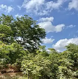 Landscape in Mtego wa Noti Ward, Uvinza District
