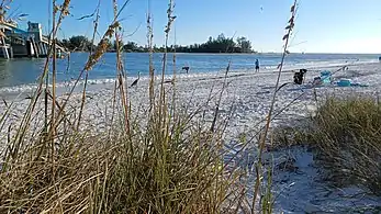Late afternoon on Coquina Beach (Longboat Pass)looking Southwest