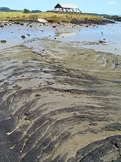 Pahoehoe lava flow from Mangere Mountain at nearby Ambury Regional Park