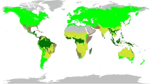 The biomes occupied by Fabaceae