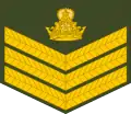 Staff sergeant(Lesotho Army)