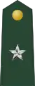 Brigadier general(Liberian Ground Forces)