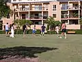 A game of touch football in Bradley Reserve, the northern park