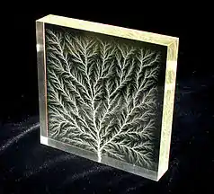 Trees: Lichtenberg figure: high voltage dielectric breakdown in an acrylic polymer block