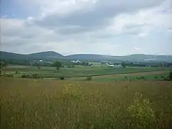 Farmland in Limestone Township