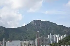 Image 30Lion Rock is also symbolic of Hong Kong. Hong Kongers has a term - "Beneath the Lion Rock" (獅子山下) - which refers to their collective memory of Hong Kong in the second half of the 20th century. (from Culture of Hong Kong)