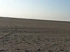 Landscape of Wild Ass Sanctuary Little Rann of Kutch