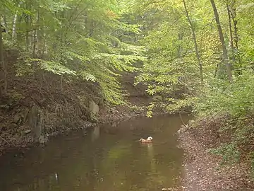 Long Point in Rose Valley .mw-parser-output .geo-default,.mw-parser-output .geo-dms,.mw-parser-output .geo-dec{display:inline}.mw-parser-output .geo-nondefault,.mw-parser-output .geo-multi-punct{display:none}.mw-parser-output .longitude,.mw-parser-output .latitude{white-space:nowrap}39°53′38″N 75°23′09″W﻿ / ﻿39.8938°N 75.3858°W﻿ / 39.8938; -75.3858﻿ (Rose Valley)