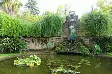 Memorial to Luís Carrisso, pond with Colocasia specimens and other water plants