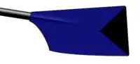 Image showing the rowing club's blade colours