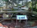 An outdoor exhibit of what a log jam on the river might look like