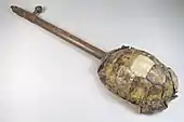 Lute with turtle-shell body, back,  Democratic Republican of the Congo