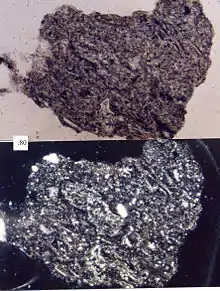 Granular volcanic lithic fragment, scale in millimeters  Top picture in plane-polarized light, bottom picture in cross-polarized light.