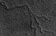 Channels in Lyot as seen by HiRISE