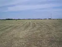 Plain near Mártély