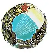 Hungarian People's Army Parachutist Badge from the 1950's