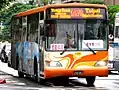 Trunk line bus 「Xinyi Trunk Line 」（Great Metro bus）