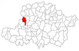 Location in Arad County
