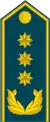 Генерал потполковникGeneral potpolkovnik(North Macedonia Air Brigade)