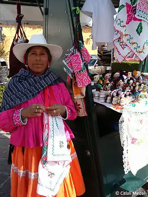 Macedonia Blas Flores, activist. (Otomi)