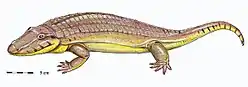 Madygenerpeton, a Triassic chroniosuchian
