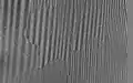 Magnetic domains and domain walls in oriented silicon steel (image made with CMOS-MagView)