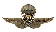 Royal Hungarian Army Parachutist Badge bronze version