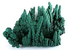 Malachite stalactites (to 9&nbsp;cm height), from Kasompi Mine, Katanga Province, Democratic Republic of the Congo. Size: 21.6×16.0×11.9&nbsp;cm.
