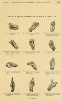 Engraving representing handshapes used in Plains Indian Sign Language