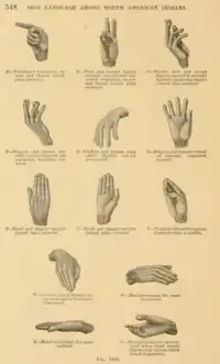 Engraving representing handshapes used in Plains Indian Sign Language