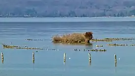 Almost submerged shipwrecks, February 2017