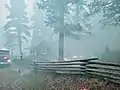 The fire near Jacob Lake Ranger Station on June 19, 2020