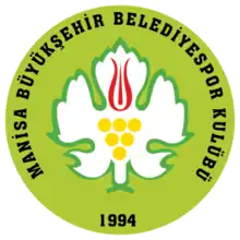 Manisa Büyükşehir Belediyespor logo